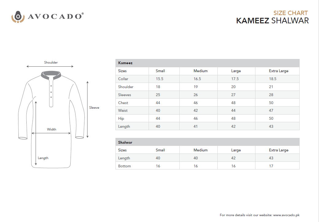 Light blue Shamrey Shalwar Kameez